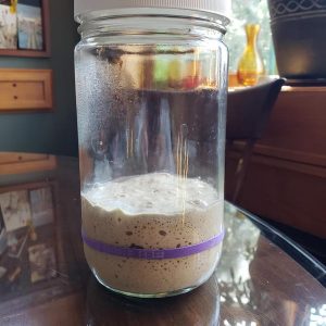 https://raisenne.com/wp-content/uploads/2021/03/sourdough-starter-300x300.jpg